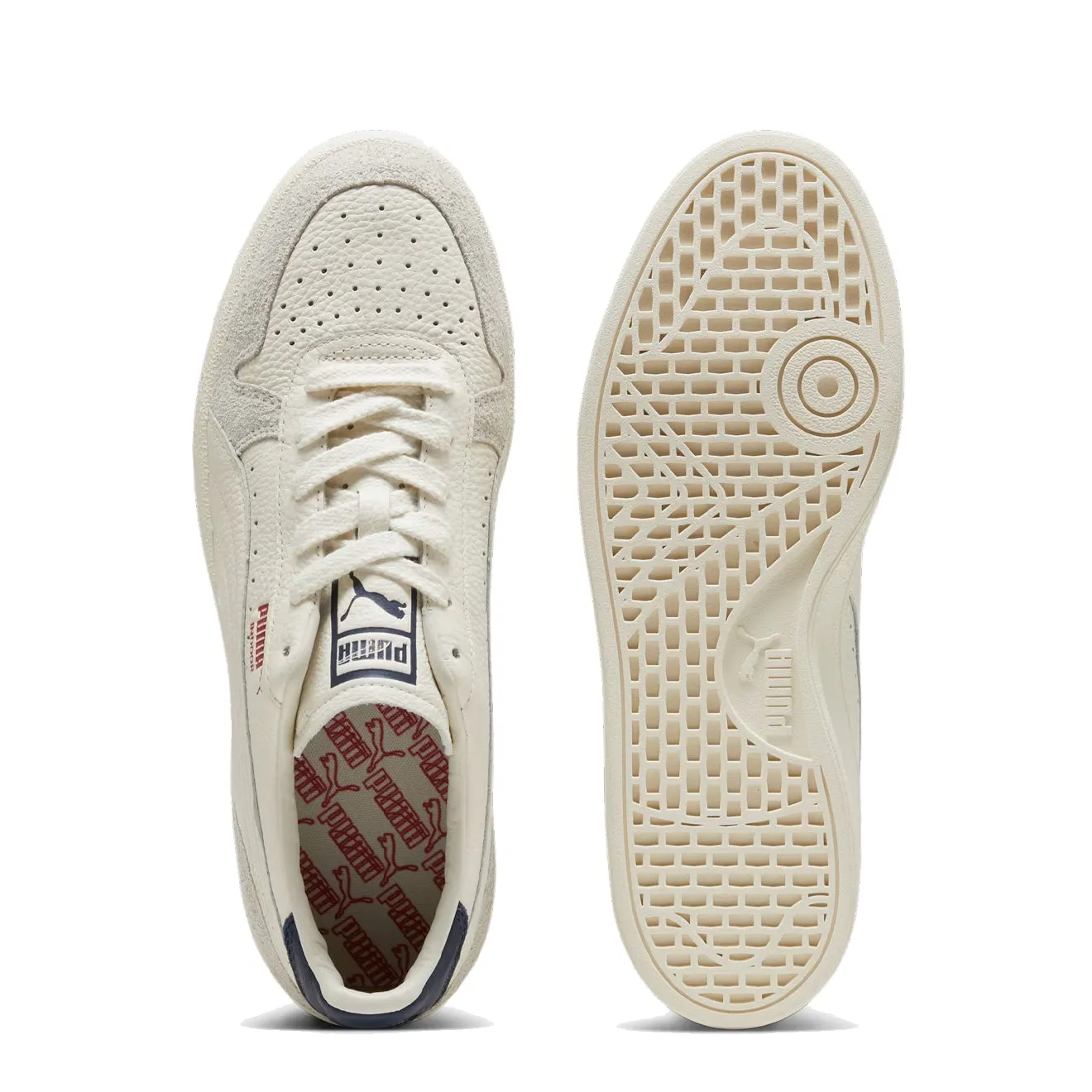 Clearance Price Puma Indoor Frosted Ivory / Vapor Gray  Dont Miss Out!